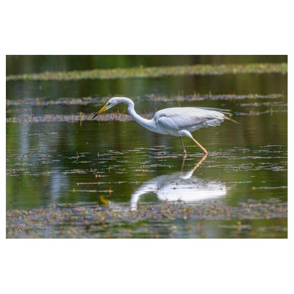 PHOTO84, CLUB, 84 , LUBERON